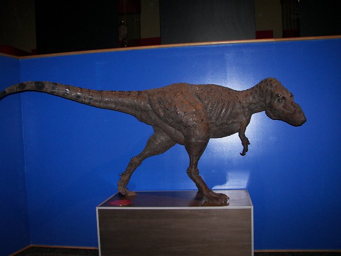 Kanada 2007 Tyrell Museum (6)